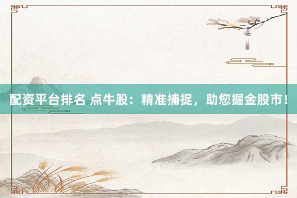 配资平台排名 点牛股：精准捕捉，助您掘金股市！
