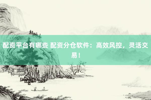 配资平台有哪些 配资分仓软件：高效风控，灵活交易！
