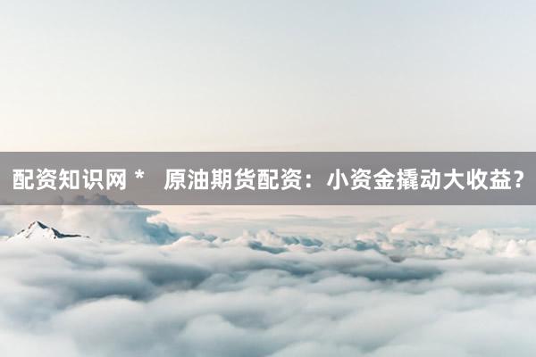 配资知识网 *   原油期货配资：小资金撬动大收益？