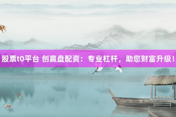 股票t0平台 创赢盘配资：专业杠杆，助您财富升级！