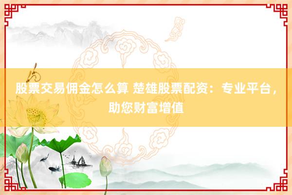 股票交易佣金怎么算 楚雄股票配资：专业平台，助您财富增值