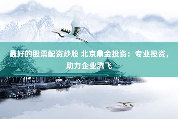 最好的股票配资炒股 北京鼎金投资：专业投资，助力企业腾飞