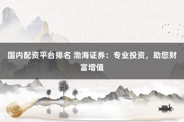 国内配资平台排名 渤海证券：专业投资，助您财富增值