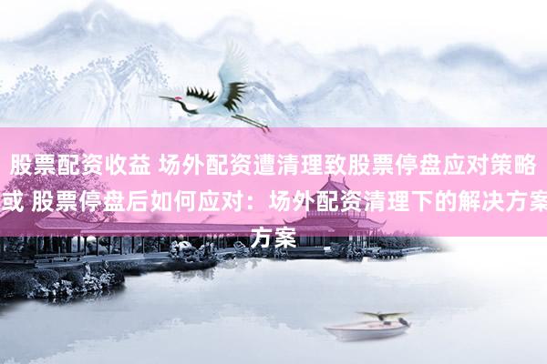 股票配资收益 场外配资遭清理致股票停盘应对策略 或 股票停盘后如何应对：场外配资清理下的解决方案