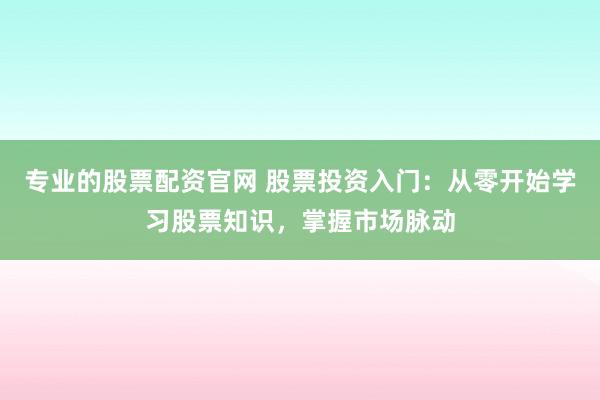 专业的股票配资官网 股票投资入门:从零开始学习股票知识,掌握市场脉动