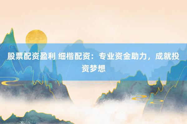 股票配资盈利 细楷配资:专业资金助力,成就投资梦想