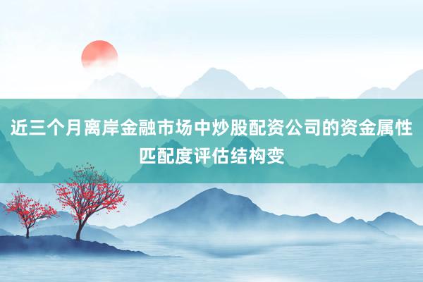 近三个月离岸金融市场中炒股配资公司的资金属性匹配度评估结构变